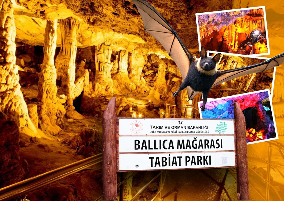 Ионлашган ҳаво, фойдали кўршапалаклар, даволовчи хусусиятга эга “ер ости қасри” — Баллижа ғорига кирамиз (фото)