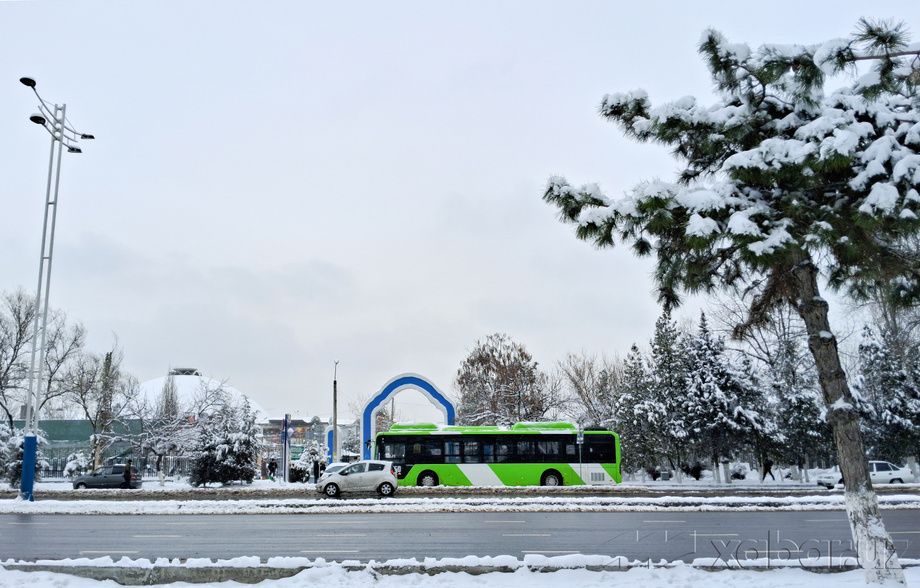 Сегодня температура воздуха в Узбекистане составит 3-8 градусов