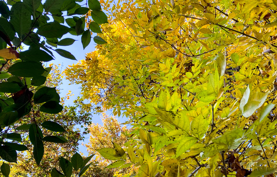 Сегодня в Узбекистане ожидается погода без осадков