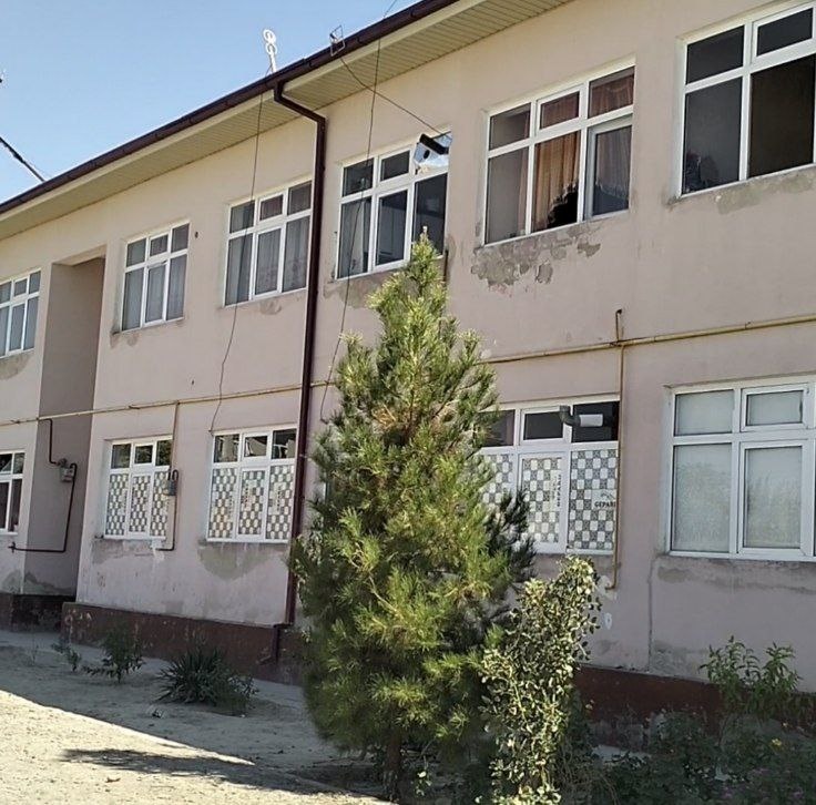 yalangoch pompalanadigan eshak