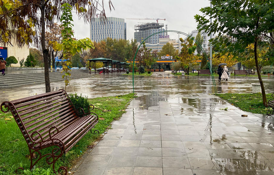 Сегодня температура воздуха составит 5-10 градусов тепла