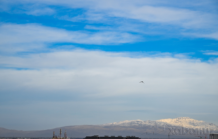 Сегодня температура воздуха составит 5-10 градусов тепла