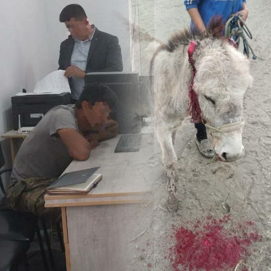 Эшакнинг қулоғини кесган шахснинг ўзи 15 суткага «кесилди»