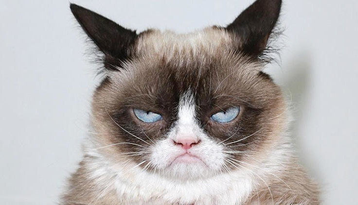 Onam uxlayotganda jinsiy aloqani onlayn tomosha qiling Ukraina ayoli bilan jinsiy aloqa ni onlayn tomosha qiling