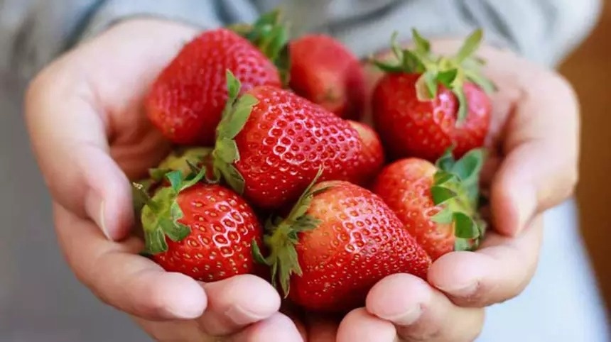 Четыре вида продуктов, отбеливающих зубы (фото)