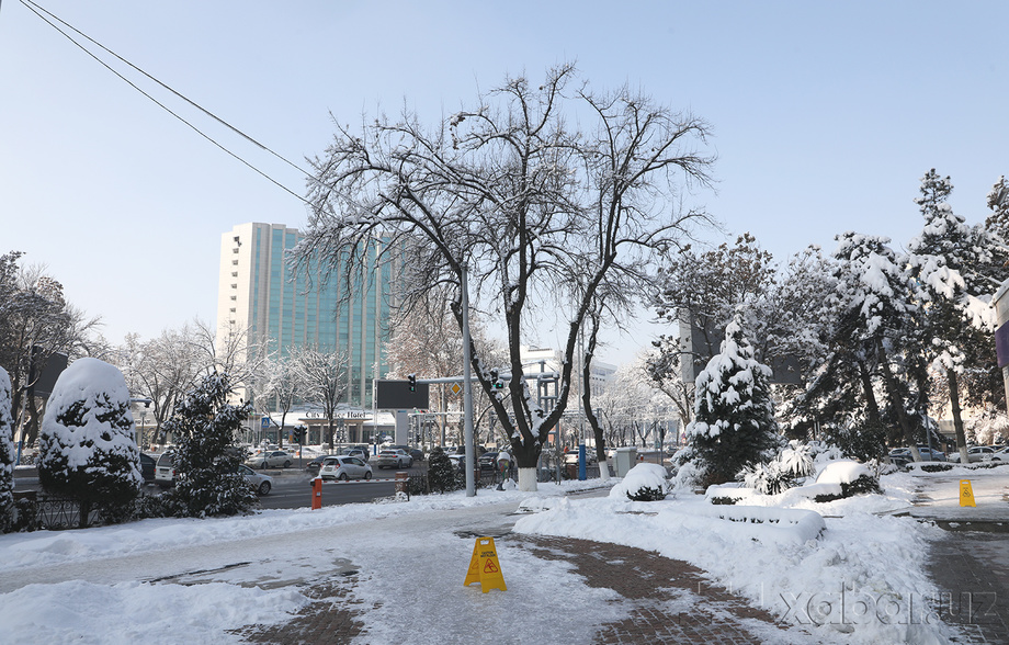 Янги йилда кетма-кет беш кун дам олиш бўлади