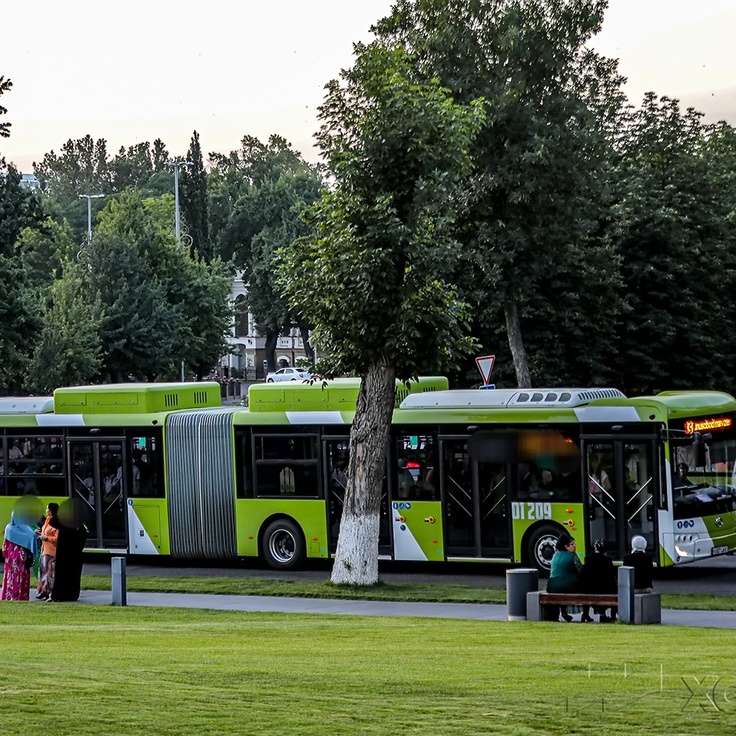 Guruh jinsiy aloqada etuk ayol