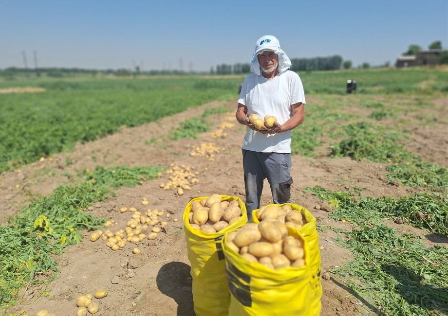 Қишлоқ хўжалиги маҳсулотлари экспорт географияси 95 та давлатни қамраб олган – вазир