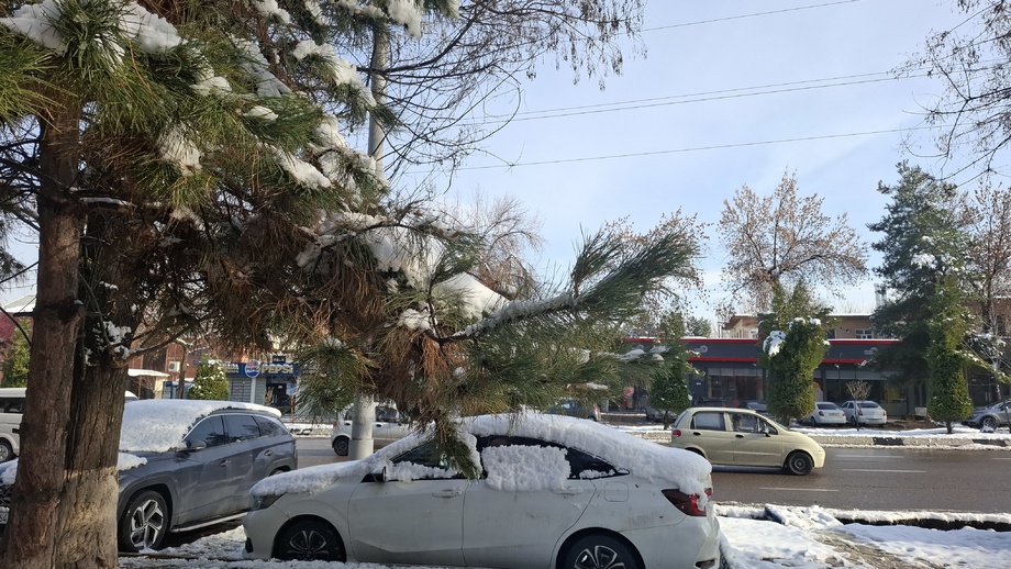 Сегодня температура воздуха по стране составит 8-13 градусов тепла