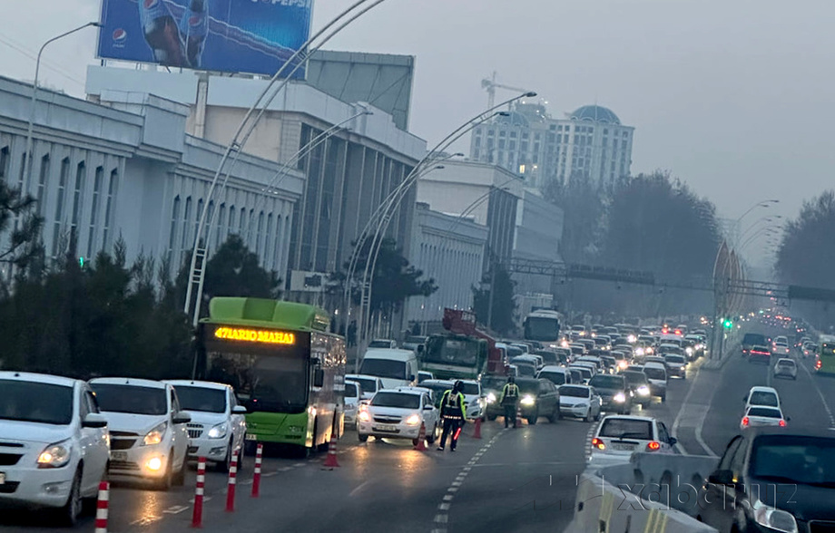 Porno: uzoq va ogriqli mushuk bir qiz sikish