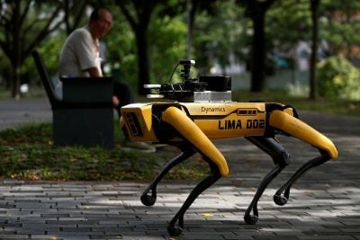 В США на прогулку вывели роботопсов Boston Dynamics (видео)