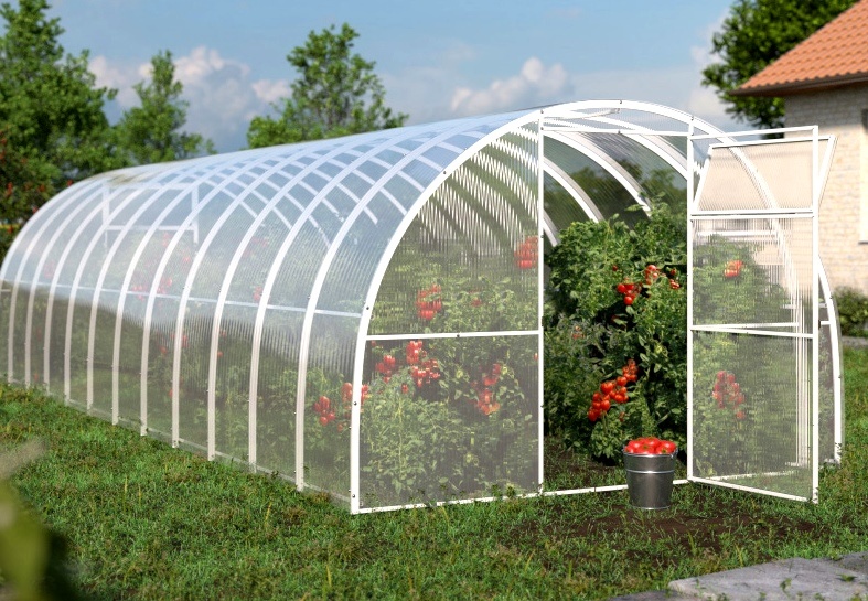 «Aqlli issiqxona»: 1-o‘rinni olgan loyiha nimasi bilan ahamiyatli?