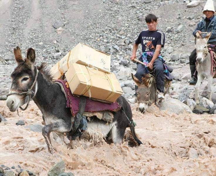 Porno etuk ayollar va ogil bolalar