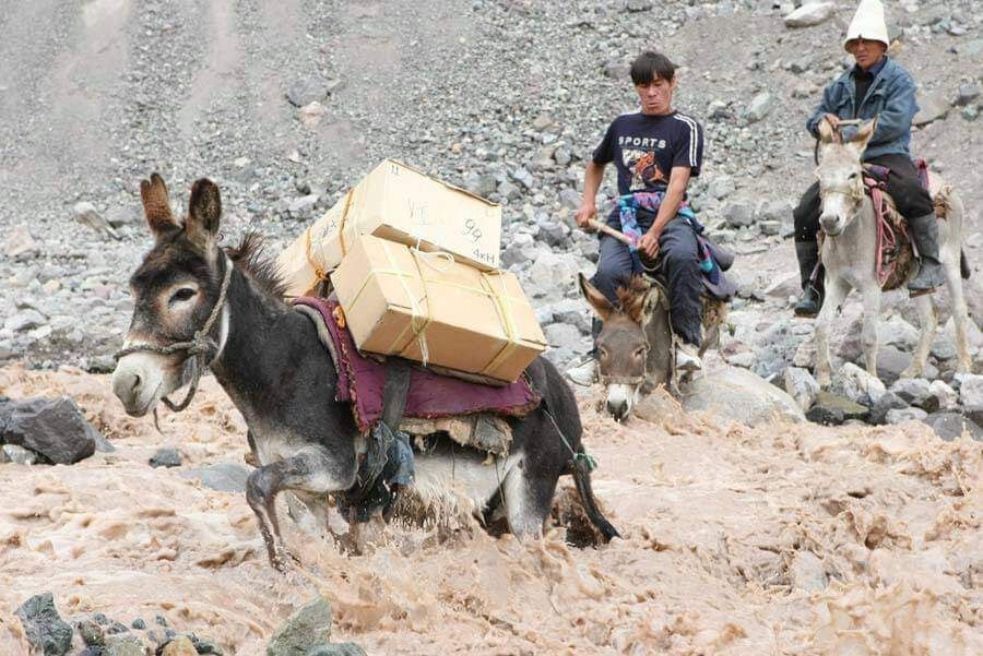 Universitet barcha jinsiy aloqa Jinsiy poyabzal Donetsk