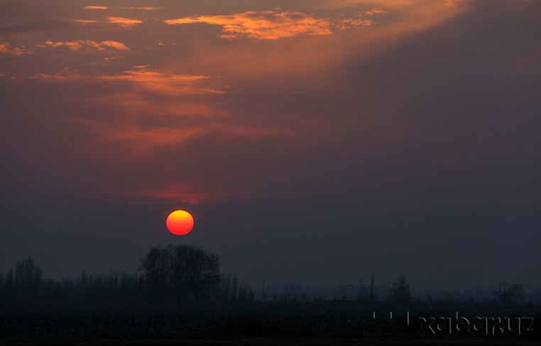 Январнинг учинчисида йилнинг энг катта Қуёшини кўрамиз
