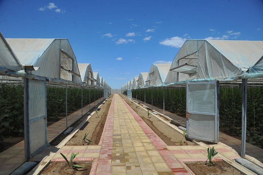 Иссиқхона хўжаликларига солиқдан айрим имтиёзлар берилди