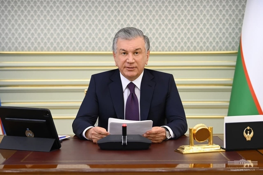 Шавкат Мирзиёев выступил на заседании Высшего Евразийского экономического совета