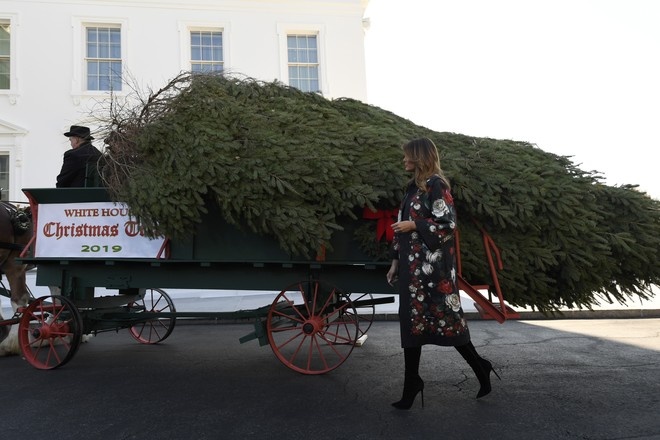 Рождественскую ель доставили в Белый дом