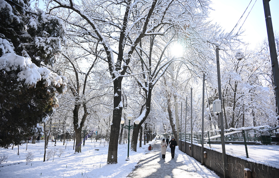 Бугун Ўзбекистон бўйлаб ҳарорат 10 даражагача илиши кутилмоқда