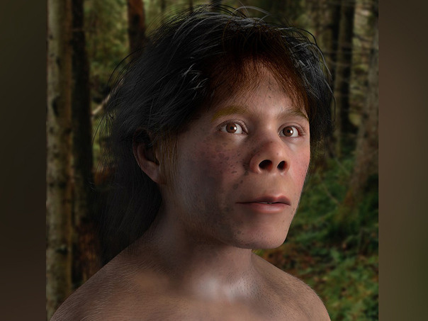 O‘zbekiston hududidan topilgan neandertal bolaning tashqi ko‘rinishi tiklandi