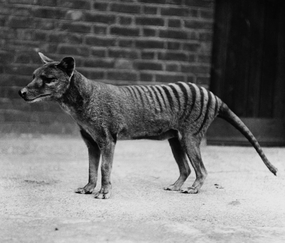 Qizlar yosh porno video bor