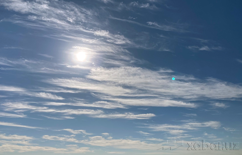 Сегодня по Узбекистану ожидается комфортная погода без осадков