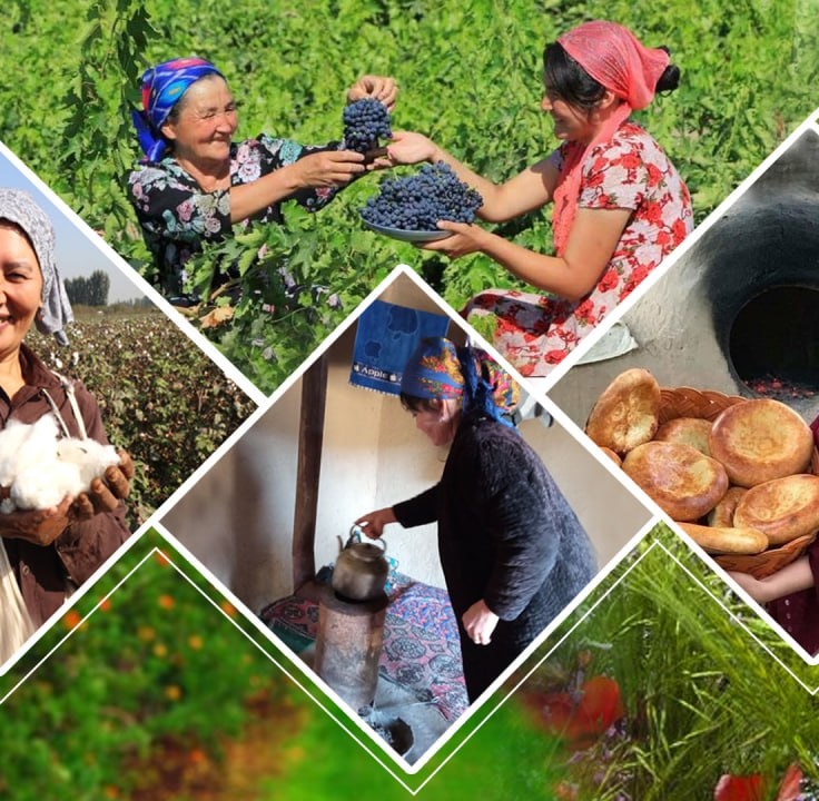 Multfilm gey porno onlayn