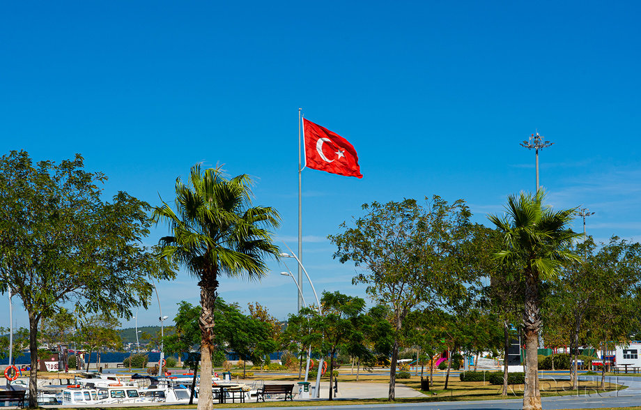 В Турции задержаны шесть граждан Узбекистана