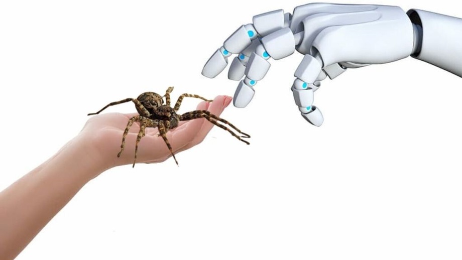 Из мертвых пауков сделали роботов