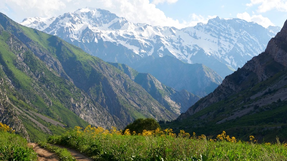 Ziyorat va ekoturizm: Toshkent viloyatining yangi nafaslari