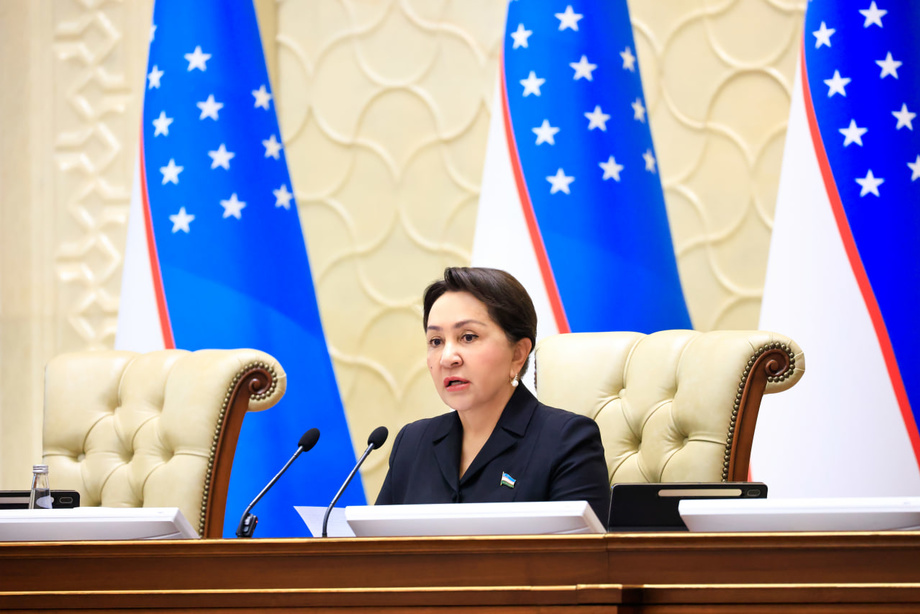 Сенат 2026 йил учун Давлат бюджети тўғрисидаги қонунни маъқуллади