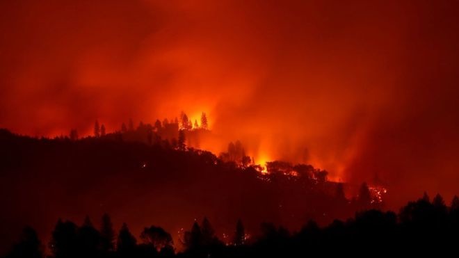 Калифорнийские пожары убили 25 человек