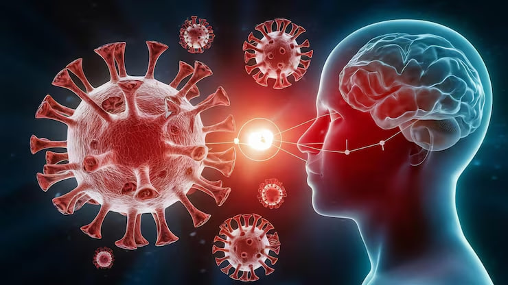 Olimlar COVID-19 dan keyin miyada qolgan «uzoq muddatli iz»ni aniqlashdi