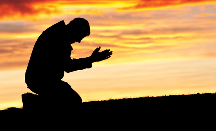 Videoda xorozlarni silkitayotgan yapon ayollari