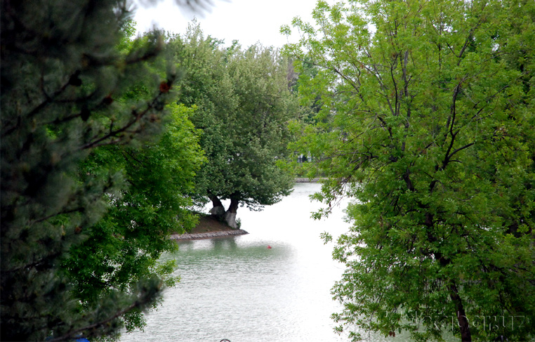 Дам олиш кунлари об-ҳаво кескин ўзгариб, ҳудудларда ёмғир ёғиши мумкин