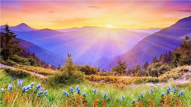 Demak, hali yashasa bo‘ladi...