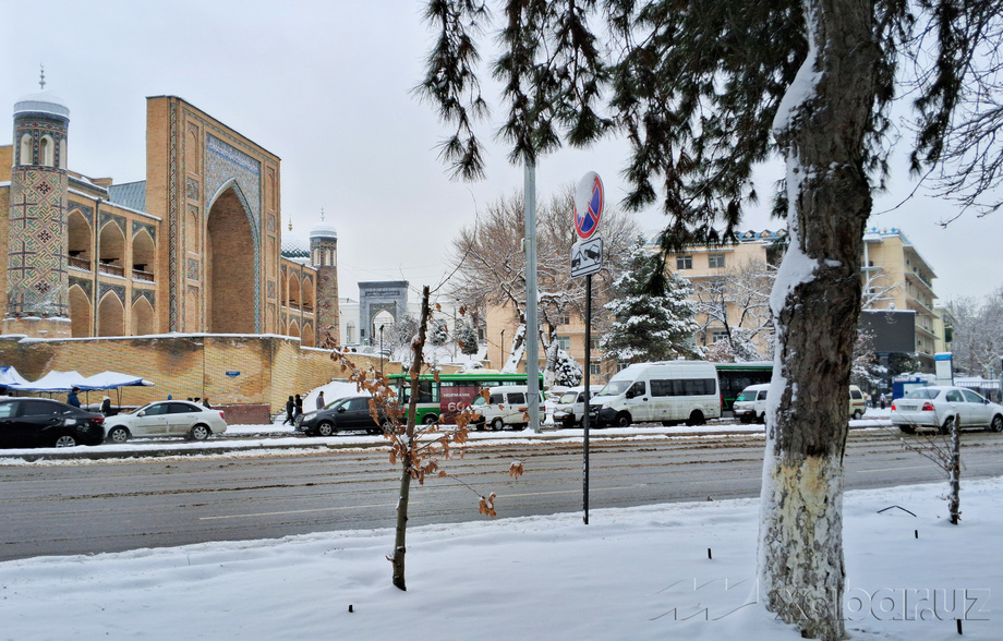 Сегодня температура воздуха в Узбекистане составит 3-8 градусов тепла