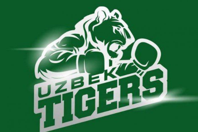 «Uzbek Tigers» Butunjahon boks seriyasidan chiqarib yuborildi