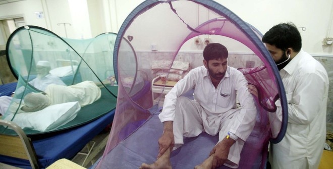 Более 10 тысяч человек заболели лихорадкой денге в Пакистане