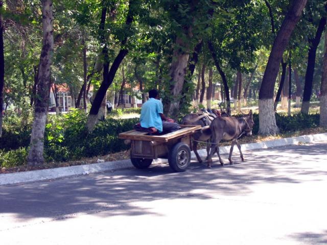 Porno qorin suv bilan toldirilgan