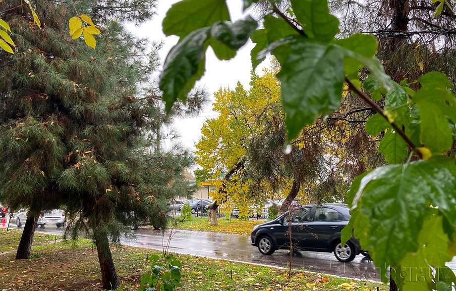 Сегодня температура воздуха по Узбекистану составит +13-18 градусов