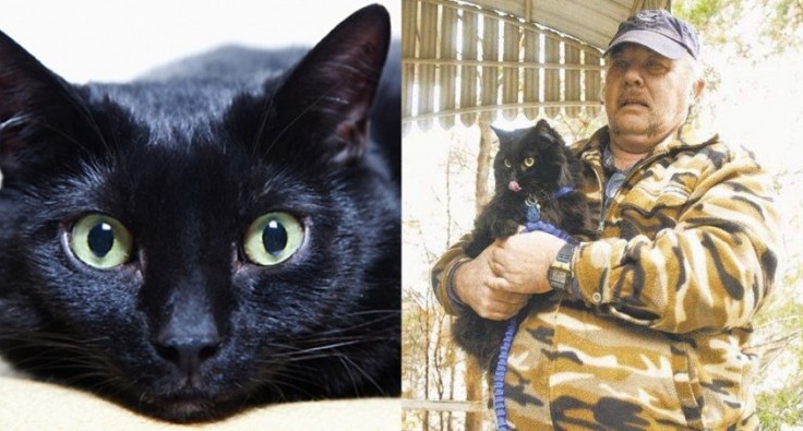 Onlayn gey veb-kamera Katta kokrak porno