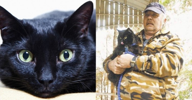 Jinsiy aloqada ahmoq Keksa rus ayolni koz yoshga toldirdi