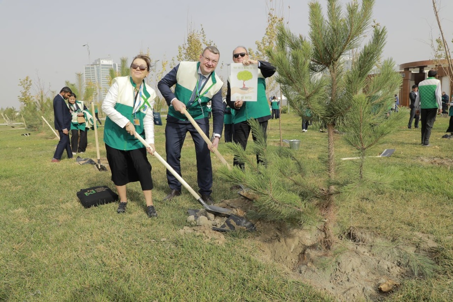 «Boqiy shahar»da YuNESKO tadbiri doirasida 600 ga yaqin ko‘chat o‘tqazildi