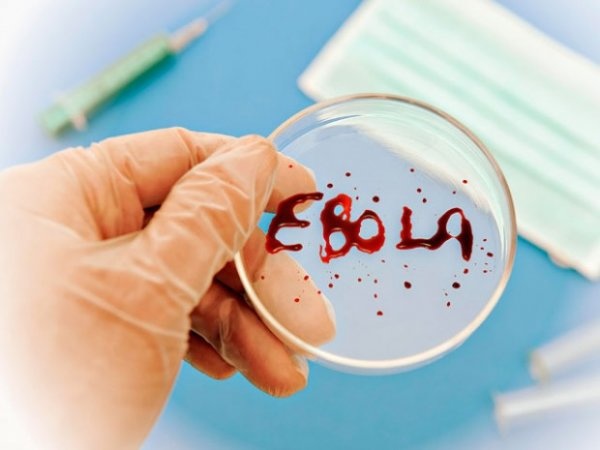Лихорадку Эбола подозревают у шведского пациента