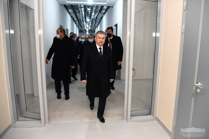 Yalangoch qizlar jinsiy azolari