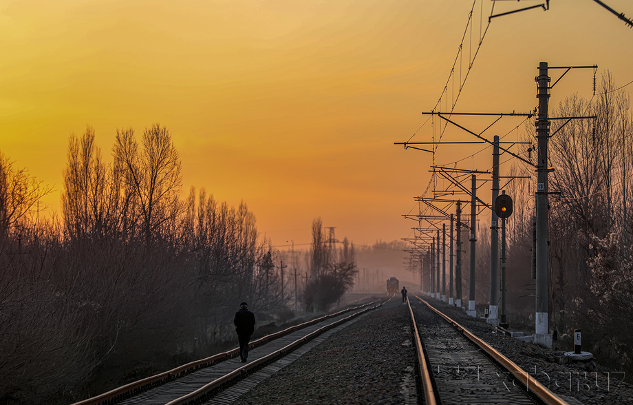Қорақалпоғистонда аёл поезд остида қолиб ҳалок бўлди