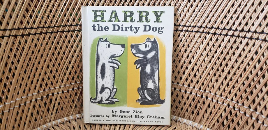  Kitob 36 yillik sayohatdan so‘ng kutubxonaga qaytarildi