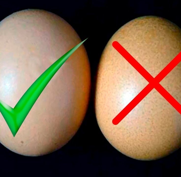 Как отличить искусственные. Искусственные яйца. Китайские яйца искусственные. Фальшивые яйца. Яйца ненастоящие.