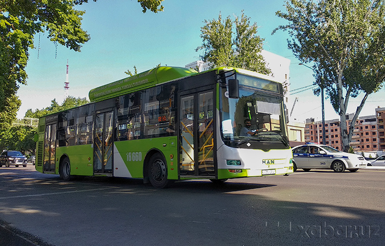 Deputat Toshkent shahrida avtobuslarni tekin qilish taklifini bermoqda